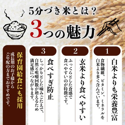 【特A8年連続】盛岡産 銀河のしずく 5分づき米5kg×2・ビタミン強化米入り|令和8年産・当日精米