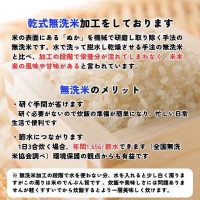 【毎月定期便】《特A7年連続受賞中》令和7年産 盛岡市産銀河のしずく 無洗米 5kg全6回