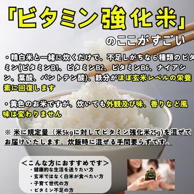 【毎月定期便】《特A7年連続受賞中》盛岡市産銀河のしずく ビタミン強化米入り 無洗米 5kg全9回
