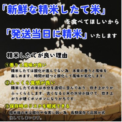 【毎月定期便】《特A7年連続受賞中》盛岡市産銀河のしずく ビタミン強化米入り 無洗米 5kg全9回