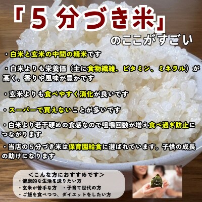【毎月定期便】盛岡市産ひとめぼれ【5分づき精米】5kg☆1等米100%のお米マイスター厳選米☆全7回