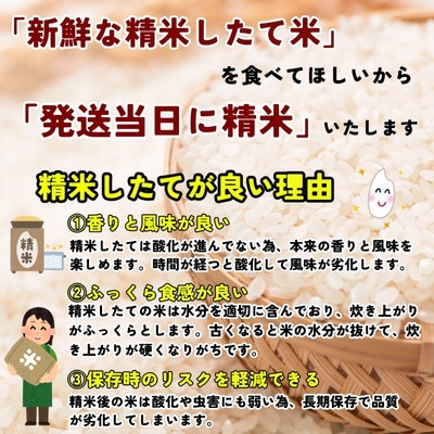 【毎月定期便】《特A7年連続受賞中!》盛岡市産銀河のしずく 5kg×2全3回