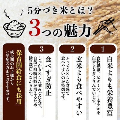 【毎月定期便】5分づき米 銀河のしずく5kg 盛岡産☆発送当日精米☆全3回