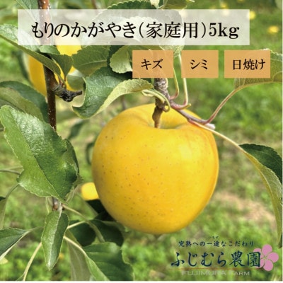 【令和7年産先行予約】ふじむら農園の盛岡りんご　もりのかがやき　(家庭用)5kg
