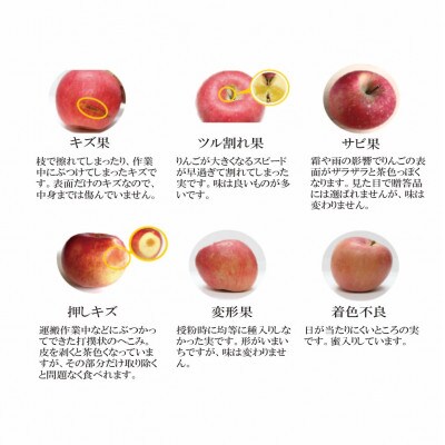 【令和7年産先行予約】ふじむら農園の盛岡りんご　シナノスイート　(家庭用)　3kg