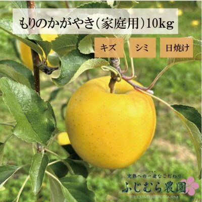 【令和7年産先行予約】ふじむら農園の盛岡りんご　もりのかがやき　(家庭用)10kg