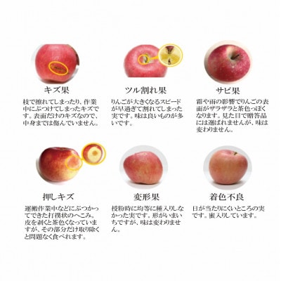 ふじむら農園のまいにちりんご　サンふじ(家庭用)　5kg