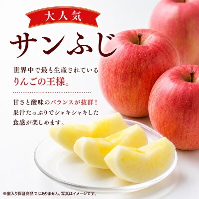 【先行予約】ふじむら農園のまいにちりんご　サンふじ(家庭用)　5kg