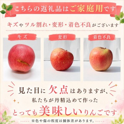 【先行予約】ふじむら農園のまいにちりんご　サンふじ(家庭用)　5kg