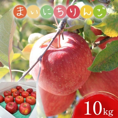 【先行予約】ふじむら農園のまいにちりんご　サンふじ(家庭用)　10kg