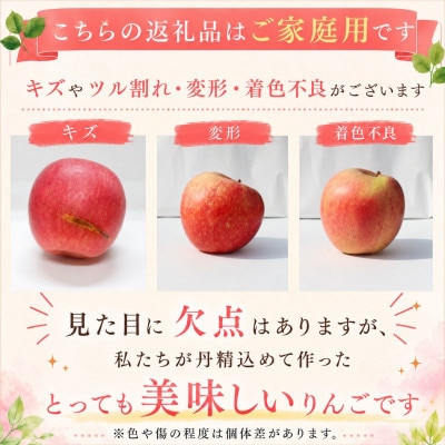 【先行予約】ふじむら農園のまいにちりんご　サンふじ(家庭用)　10kg