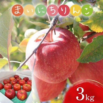 【先行予約】ふじむら農園　まいにちりんご　サンふじ(家庭用)　3kg