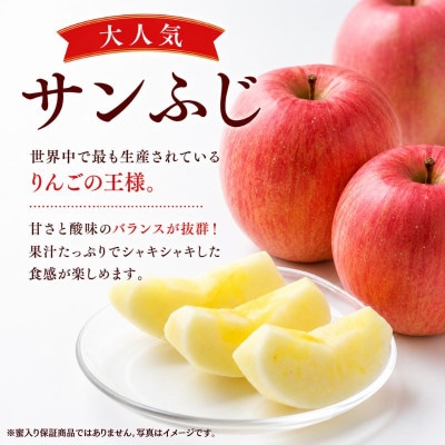 【先行予約】ふじむら農園　まいにちりんご　サンふじ(家庭用)　3kg