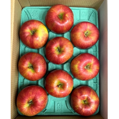 ふじむら農園のまいにちりんご　サンふじ(家庭用)　3kg