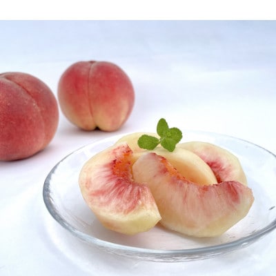 【先行予約】ふじむら農園の朝獲り完熟桃　特撰　川中島白桃　2kg