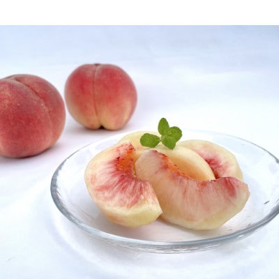 【先行予約】ふじむら農園の朝獲り完熟桃　家庭用　川中島白桃　1.2kg