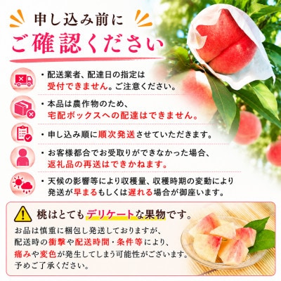 【先行予約】ふじむら農園の朝獲り完熟桃　家庭用　川中島白桃　1.2kg