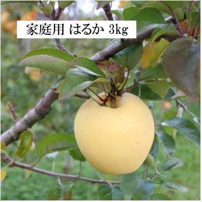 【先行予約】ふじむら農園のまいにちりんご　はるか(家庭用)　3kg