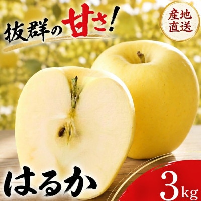【先行予約】ふじむら農園のまいにちりんご　はるか(家庭用)　3kg