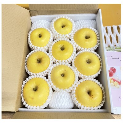 【先行予約】ふじむら農園のまいにちりんご　はるか(家庭用)　3kg