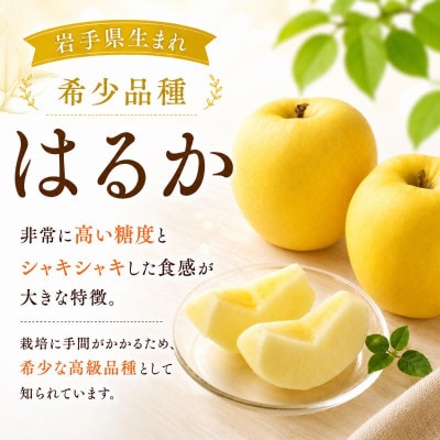 【先行予約】ふじむら農園のまいにちりんご　はるか(家庭用)　3kg