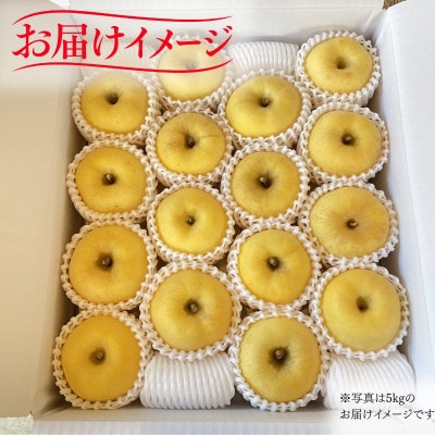 【先行予約】ふじむら農園のまいにちりんご　はるか(家庭用)　3kg