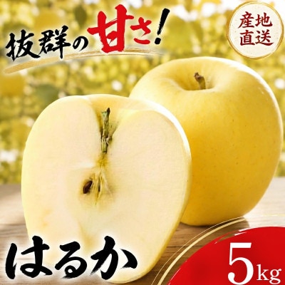 【先行予約】ふじむら農園のまいにちりんご　はるか(家庭用)　5kg