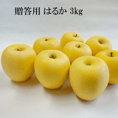 【先行予約】ふじむら農園の贈答用　はるか　3kg