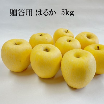 【先行予約】ふじむら農園の贈答用　はるか　5kg