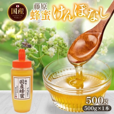藤原国産蜂蜜 けんぽなし 500g 完熟 単花蜜 藤原養蜂場 岩手県盛岡市
