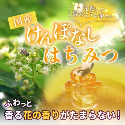 藤原国産蜂蜜 けんぽなし 500g 完熟 単花蜜 藤原養蜂場 岩手県盛岡市
