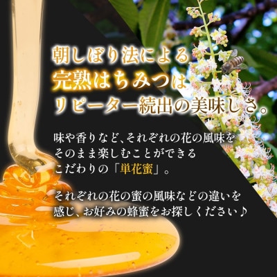 藤原国産蜂蜜 けんぽなし 500g 完熟 単花蜜 藤原養蜂場 岩手県盛岡市