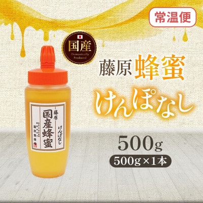 藤原国産蜂蜜 けんぽなし 500g 完熟 単花蜜 藤原養蜂場 岩手県盛岡市