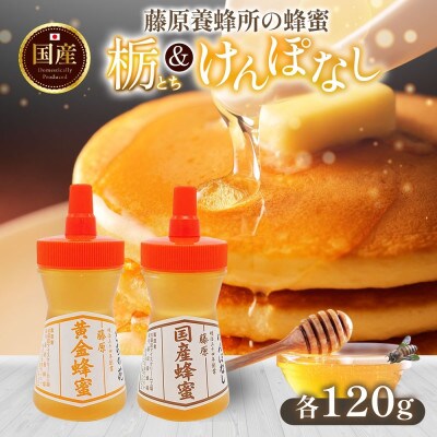 藤原国産蜂蜜 栃&けんぽなし 計240g 完熟 単花蜜 藤原養蜂場 岩手県盛岡市