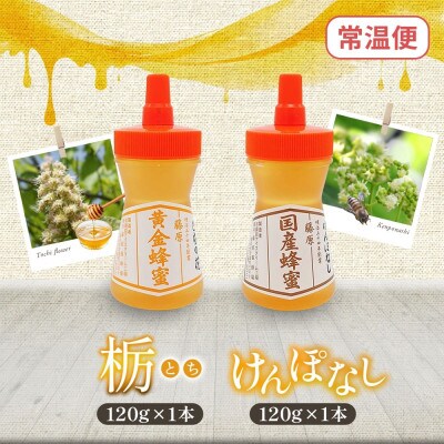 藤原国産蜂蜜 栃&けんぽなし 計240g 完熟 単花蜜 藤原養蜂場 岩手県盛岡市