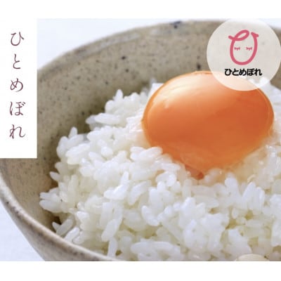 令和7年産 岩手県産ひとめぼれ 精米 10kg