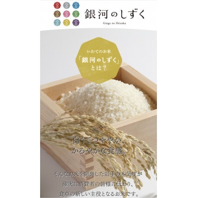 令和7年産岩手県産銀河のしずく 5kg×2袋 精米