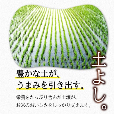 【うまい!】ひとめぼれ 2kg 令和7年産精米