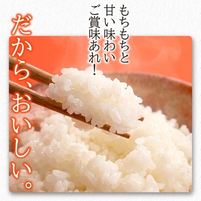 【うまい!】ひとめぼれ 2kg 令和7年産精米