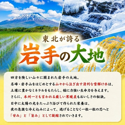 【うまい!】ひとめぼれ 7kg 令和7年産精米