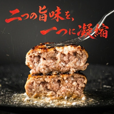 高級和牛 いわて牛入り ハンバーグ 3.0kg