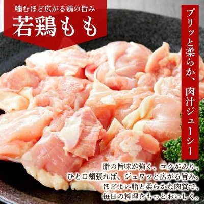 岩手県産 若鶏 もも 計1.5kg(300g×5パック)