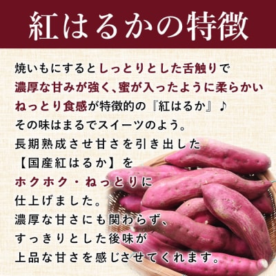 スプーンで食べるさつまいも 小分け焼き芋 16袋 約1.5kg　AS-2118