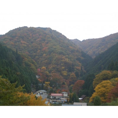 金剛山麓ポークウィンナー