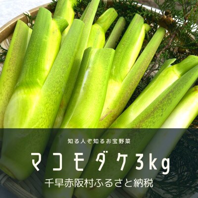 【大阪千早赤坂村産】まこもだけ約3Kg　秋の味覚(旬)を直送します。