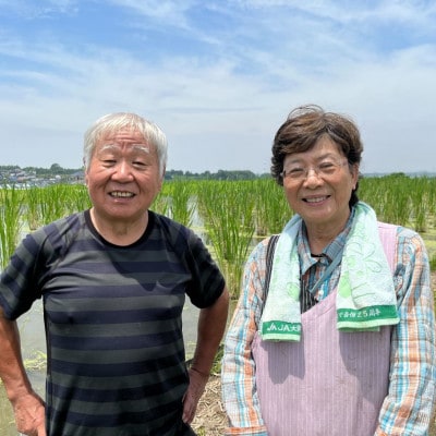 【大阪千早赤坂村産】まこもだけ約3Kg　秋の味覚(旬)を直送します。