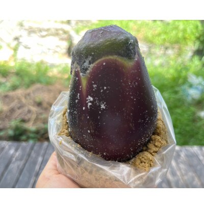 千早赤阪村　朝ごはんセット　水なす漬け3個+棚田米+昔ながらの梅干し