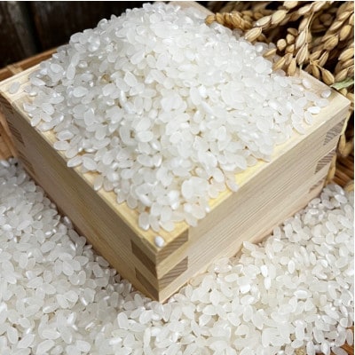 《2kg(500g×4)》千早赤阪村産　棚田の米粉　グルテンフリー