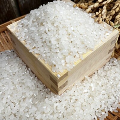 《2kg(1kg×2)》千早赤阪村産　棚田の米粉　グルテンフリー