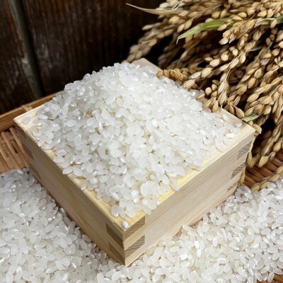 《白米5kg》大阪府千早赤阪村産　棚田米
